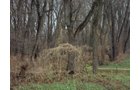 Property photo 3 - 62.7 Acres in 2 Tracts - Recreation and Potential Building Sites
